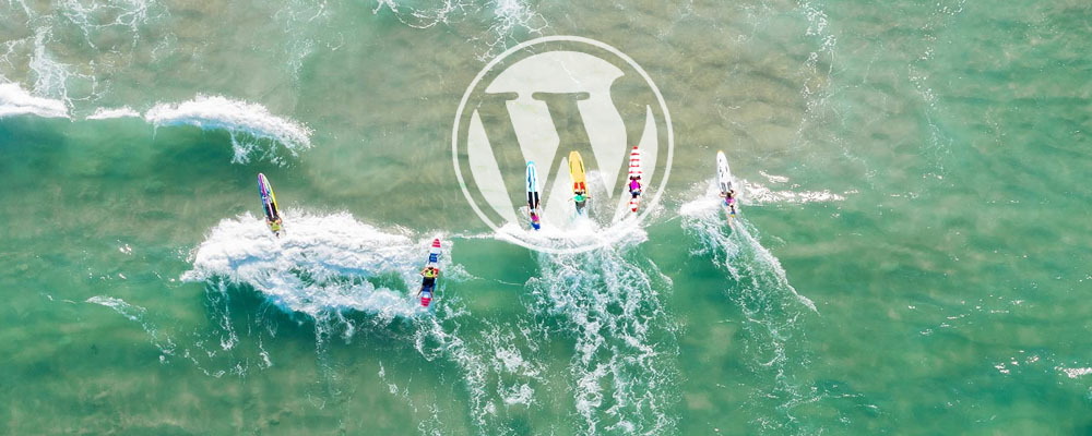 分类-WordPress主题-默语空间