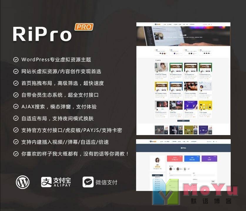 ripro8.7日主题破解版高级资源