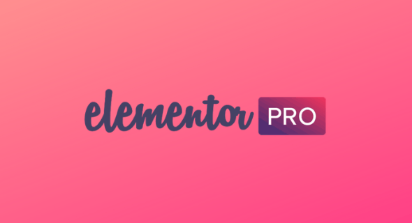 Elementor Pro v3.3.2 + Elementor v3.3.0激活汉化版【WordPress插件】-默语空间