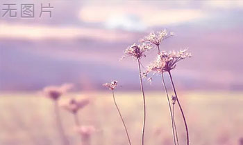 2021最新解决Discuz! X3.4对不起，您安装的不是正版应用的最新方法-默语空间