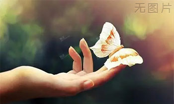 CSS/HTML技术交流-默语空间