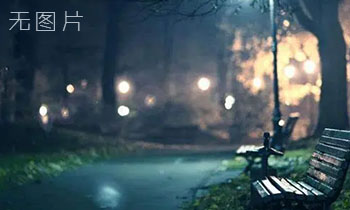 WordPress去除分类目录“category”路径的三种方法-默语空间